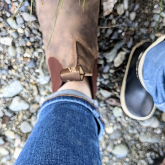 Meet your Posher, Bea - Picture 1 of 1